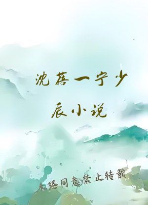 沈蓓一宁少辰小说